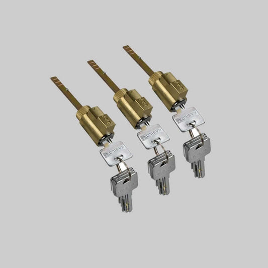 EASILOK 3*E2 Lock cylinder/cores with 15 of dimple keys